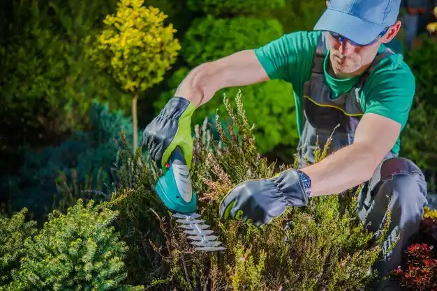 landscaping services Blue Mountain